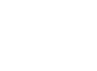vscelebrity-logo - ver1